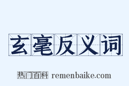 玄毫反义词是什么意思的图片